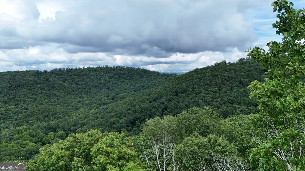 Photo of 253 Stone Cliff Drive, Ellijay, GA 30536 (MLS # 10851211)