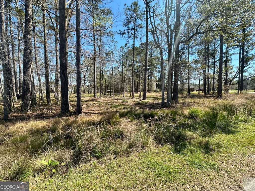 Photo of 102 Trail South, Midway, GA 31320 (MLS # 10716257)