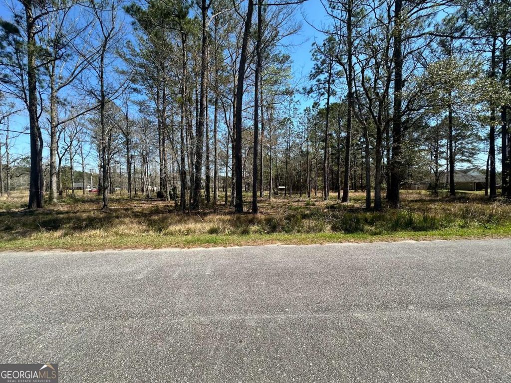 Photo of 102 Trail South, Midway, GA 31320 (MLS # 10716257)