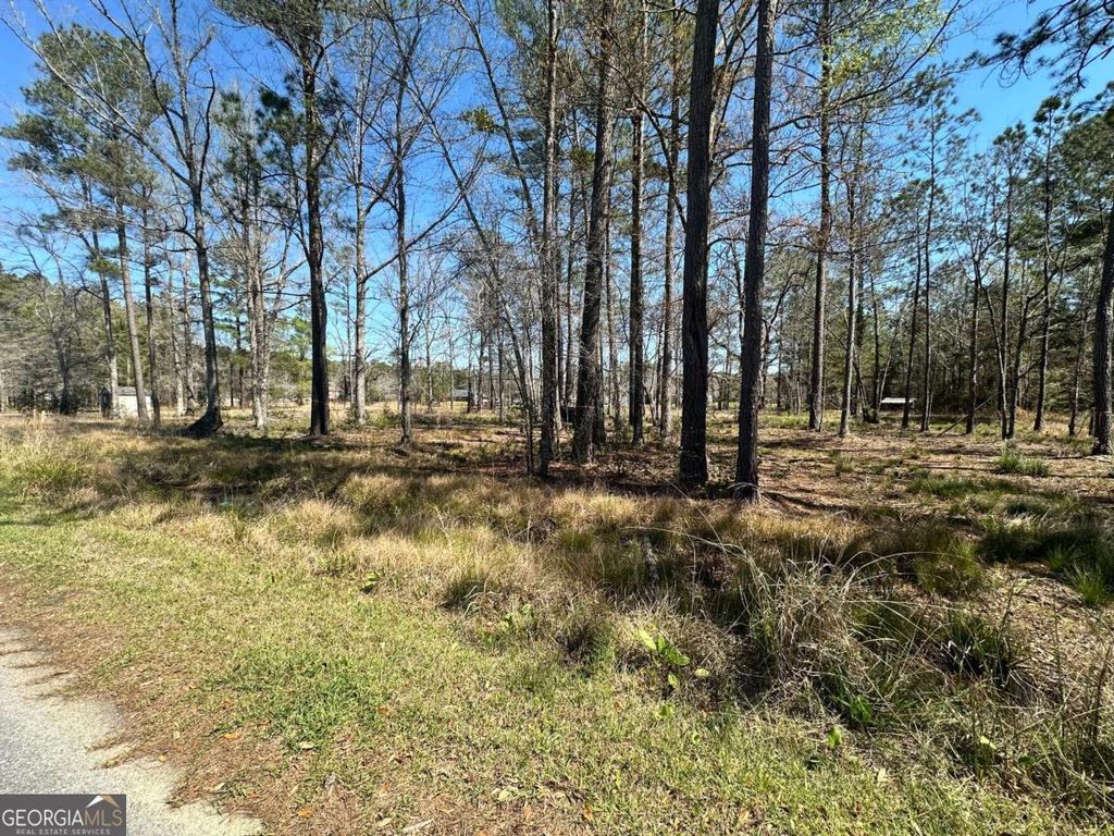 Photo of 102 Trail South, Midway, GA 31320 (MLS # 10716257)