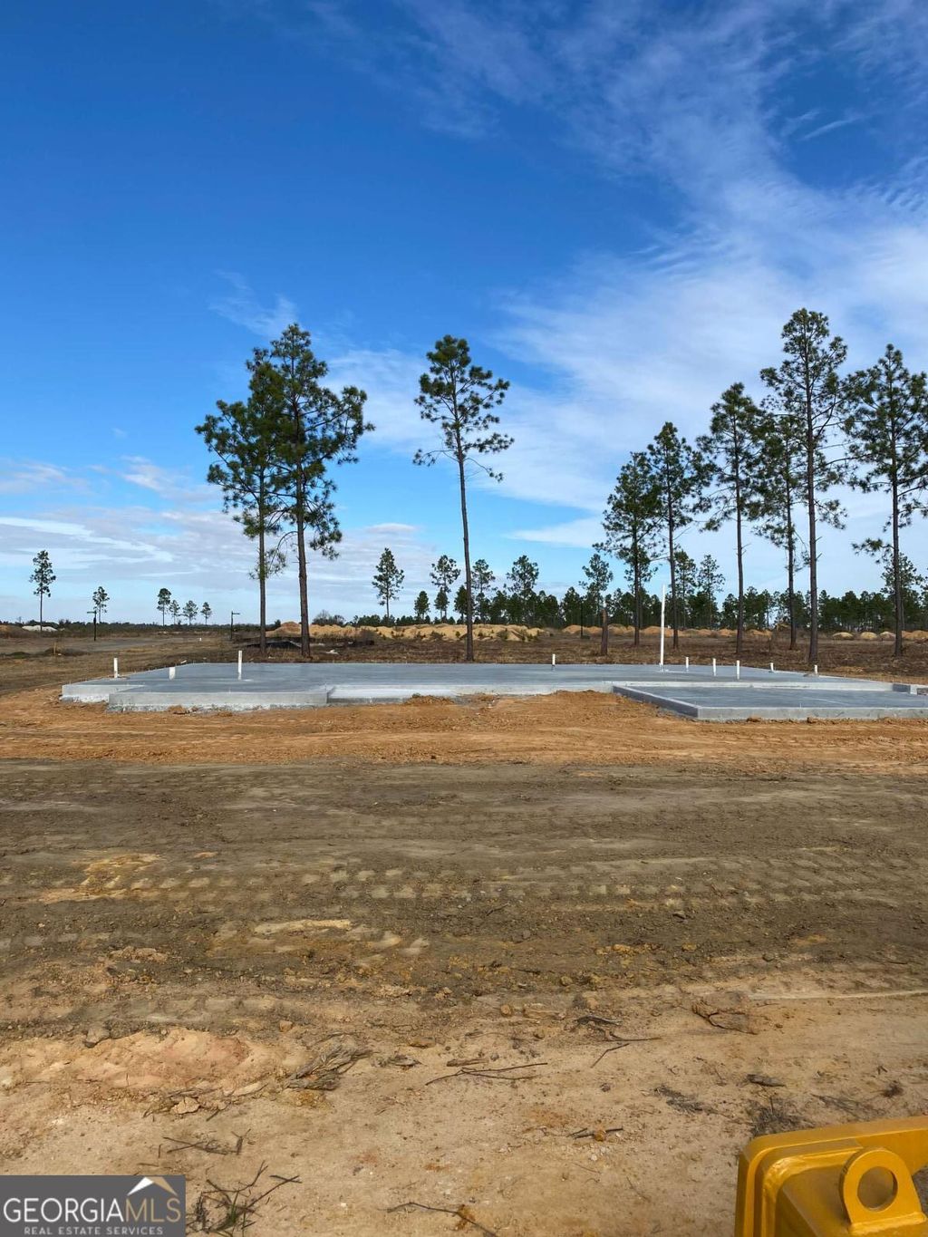 Photo of 219 Manchester Drive, Statesboro, GA 30461 (MLS # 10674714)