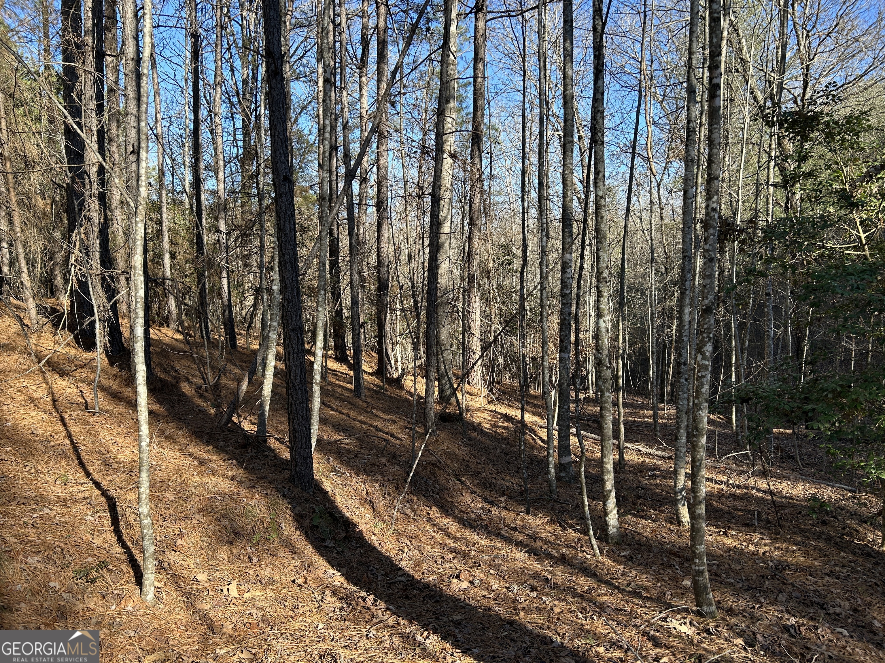 0 Twin River Orchard RD TRACT 4