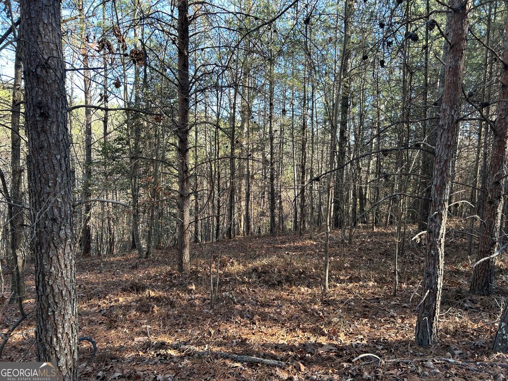 Photo of 00000 Twin River Orchard Road #TRACT 4, Demorest, GA 30535 (MLS # 10663816)