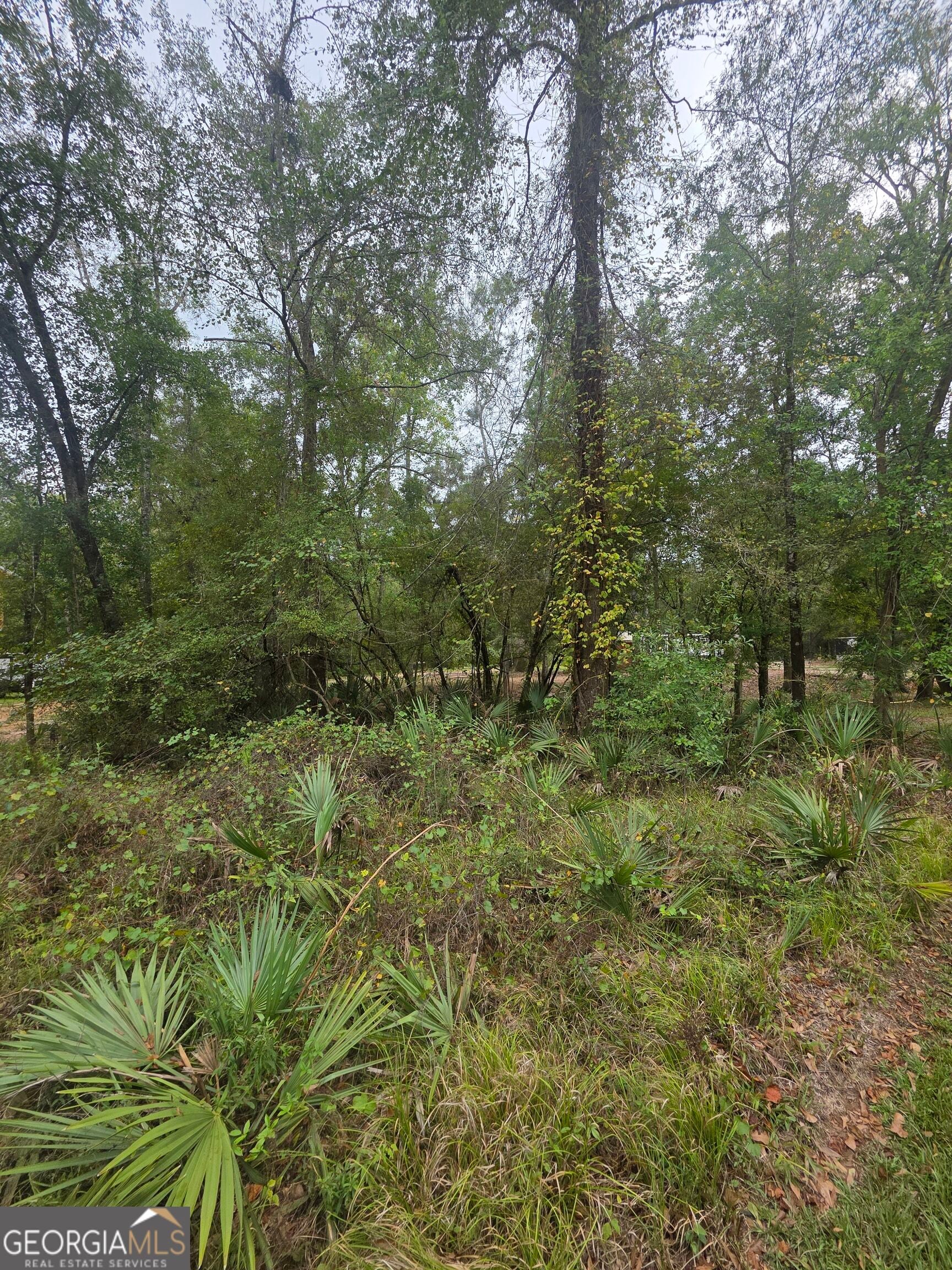 0 Morris Landing RD