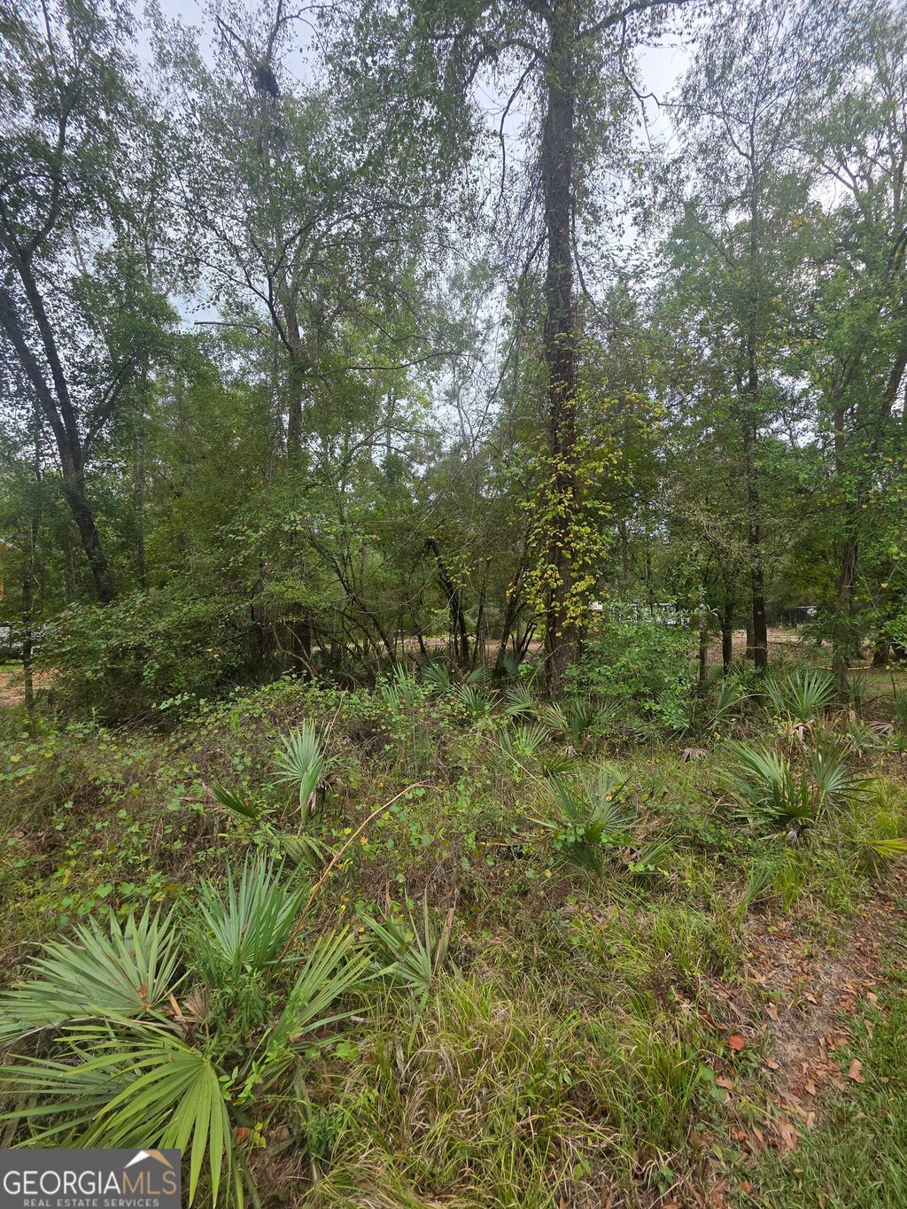 Photo of 0 Morris Landing Road, Baxley, GA 31513 (MLS # 10835493)