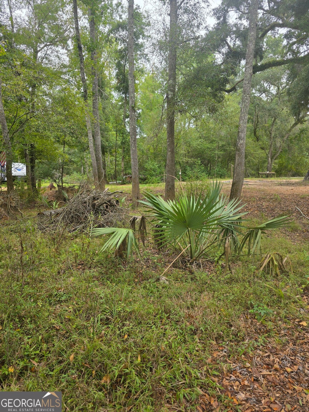 Photo of 0 Morris Landing Road, Baxley, GA 31513 (MLS # 10835493)