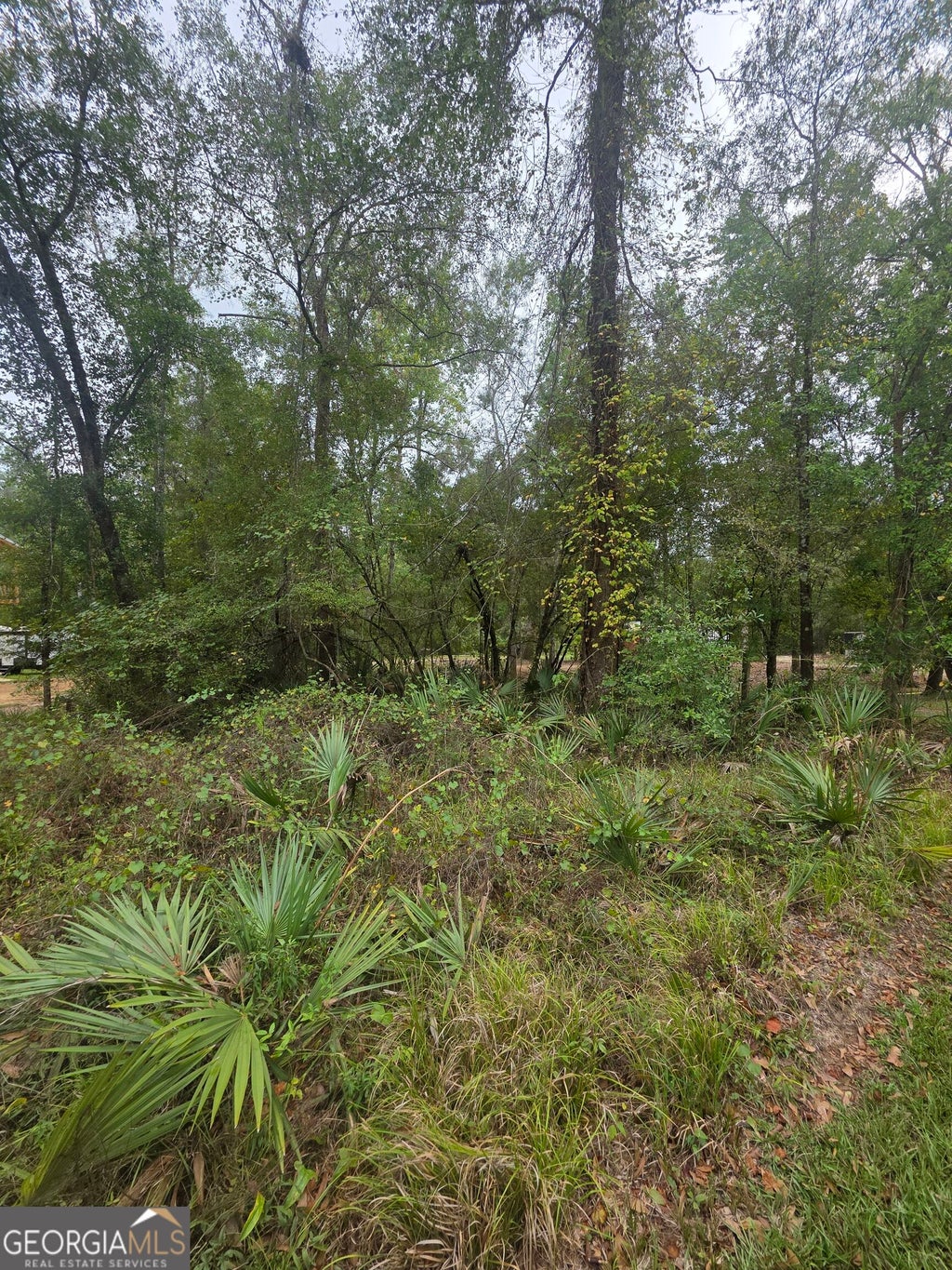 Photo of 0 Morris Landing Road, Baxley, GA 31513 (MLS # 10835493)
