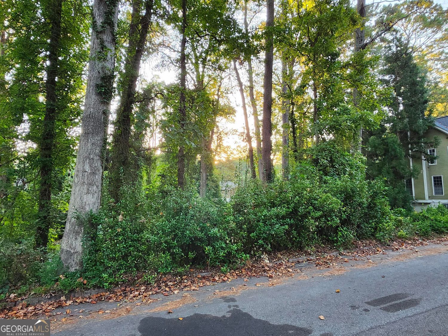 Pine Lake, Georgia 30072, United States, ,Land,Active,213813