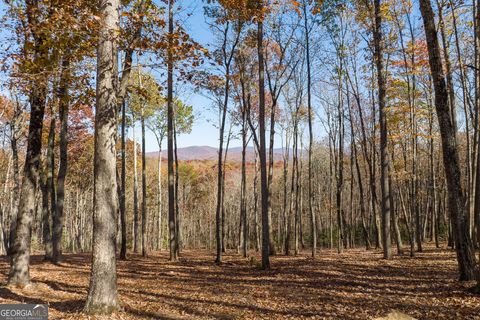 19R Settlement TRL Ellijay GA 30536