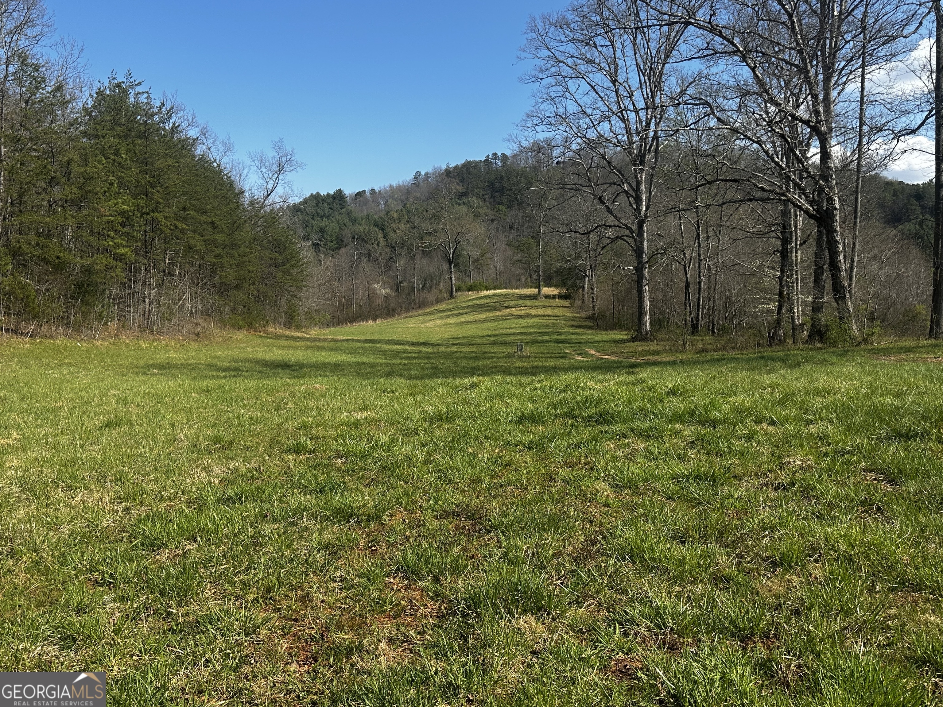 Photo 1 of 31 — 0 Georgia RD, Otto, NC 28763
