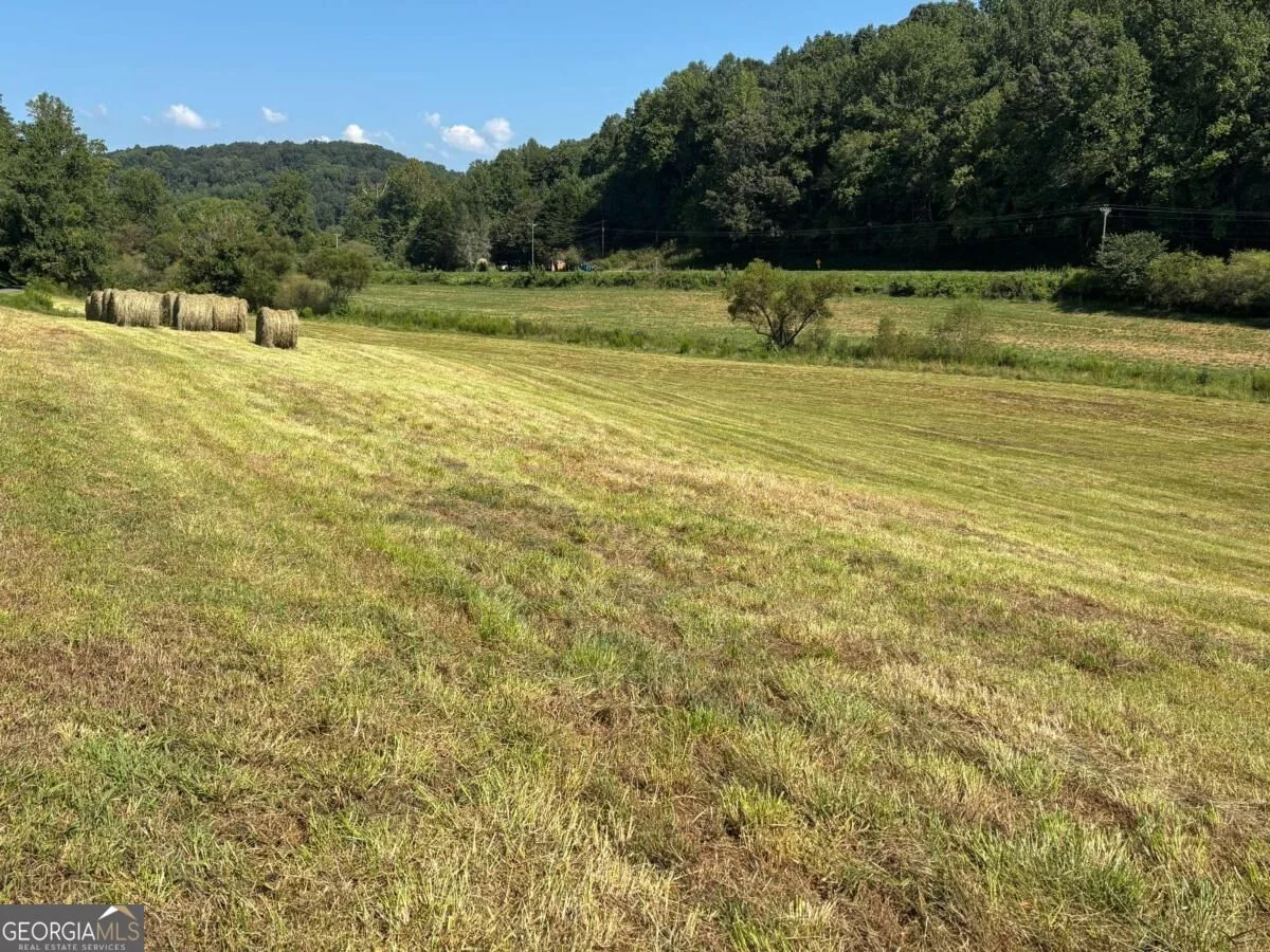 13 AC Aruthur Anderson Road, Dahlonega, GA, 30533