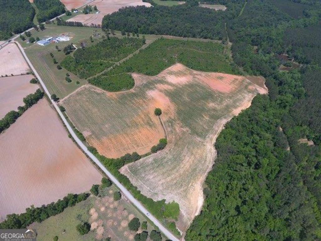 Photo of 0 Ben Hadden Road, Stapleton, GA 30823 (MLS # 10773102)