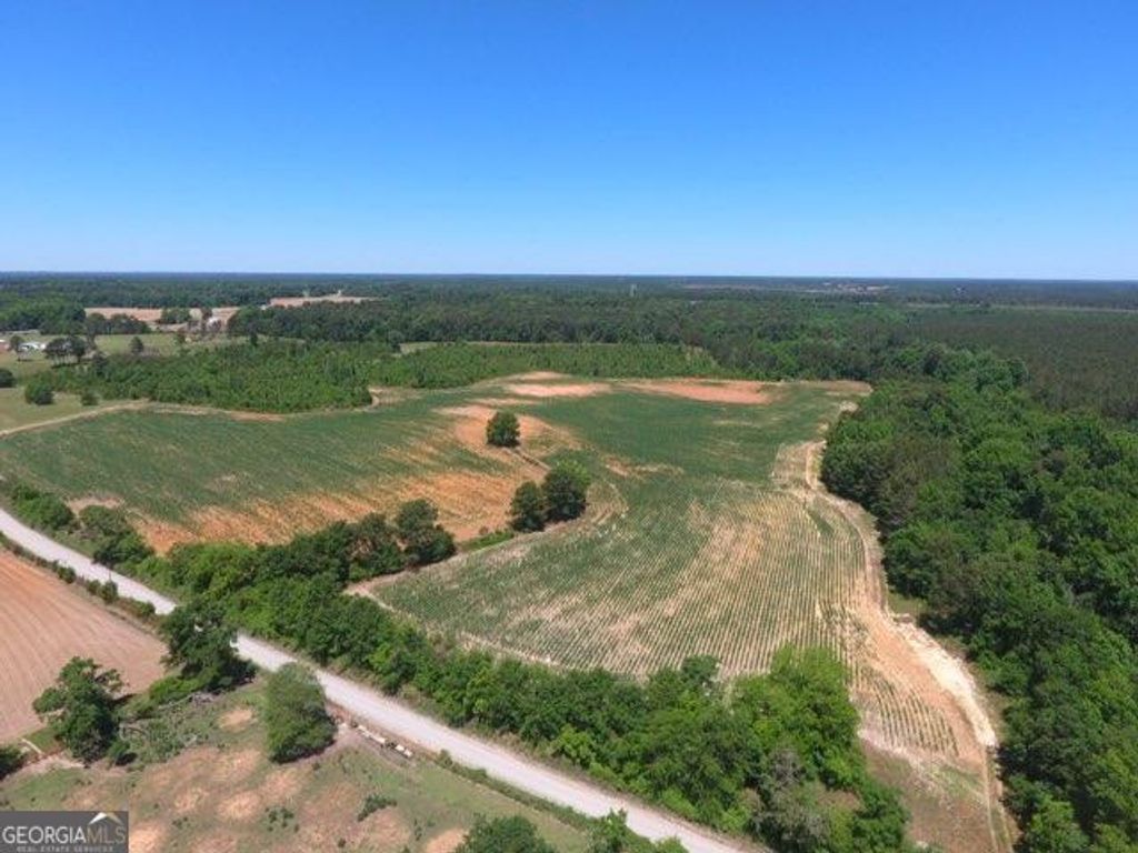 Photo of 0 Ben Hadden Road, Stapleton, GA 30823 (MLS # 10773102)