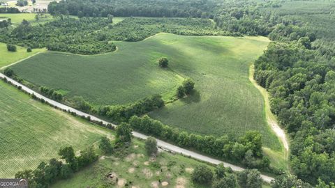 Photo of 0 Ben Hadden Road, Stapleton, GA 30823 (MLS # 10773102)