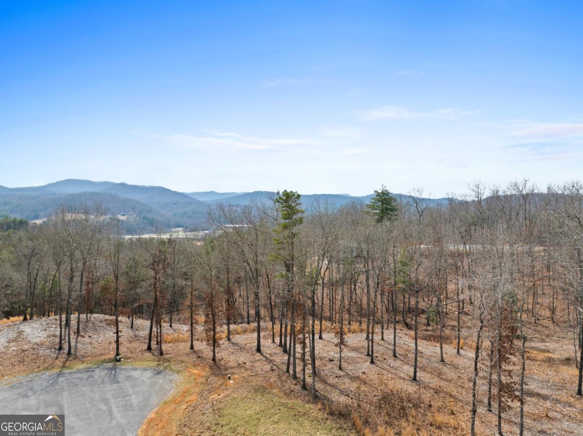 LOT 162 Ridges Of Blue Ridge