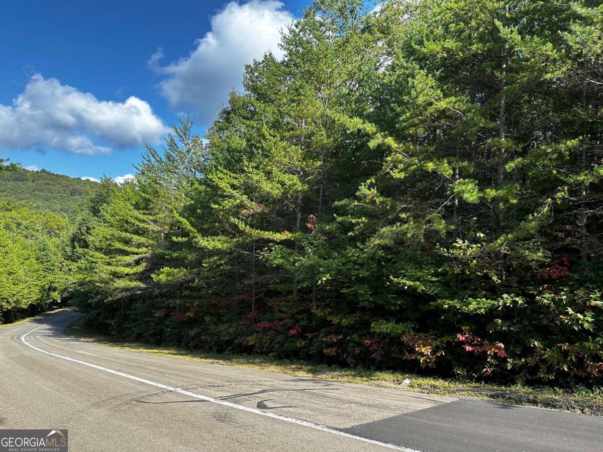 Priced to sell fast and well below appraised tax value! This 3.1 acre lot is located in the gated luxury subdivision of Georgian Highlands. You'll love the wide paved roads that meander through a picturesque forest with a state park feel. Located approximately 1 mile inside the gates you'll be enveloped in peace and serenity with hearing the sounds of nature. Underground electric, cable, phone, and high-speed internet. Buy now and build later! Close to orchards, wineries, and hiking. Approx 20-25 minutes to Jasper or Ellijay. Gated, HOA, no rentals, 2000 heated sqft min on main level, all buyers must be with an agent. Owner is a licensed real estate agent. Terrain parcel line photos are an approximation only.