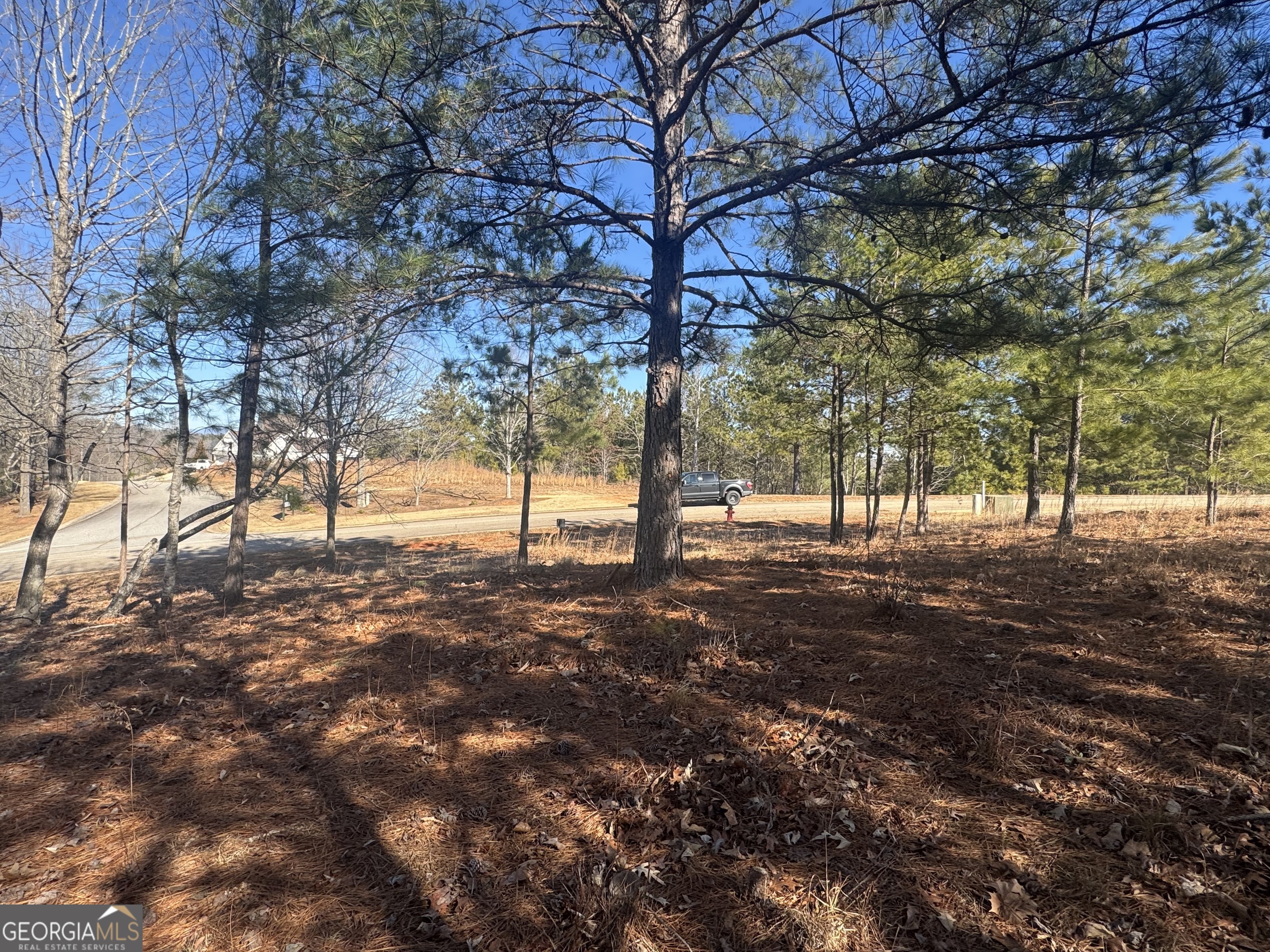 1541 Currahee Club DR