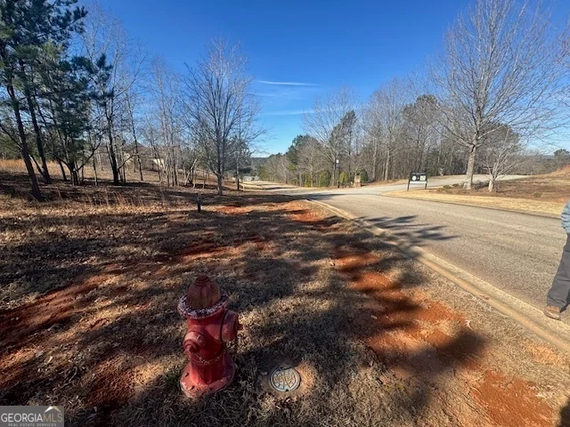 1541 Currahee Club Drive