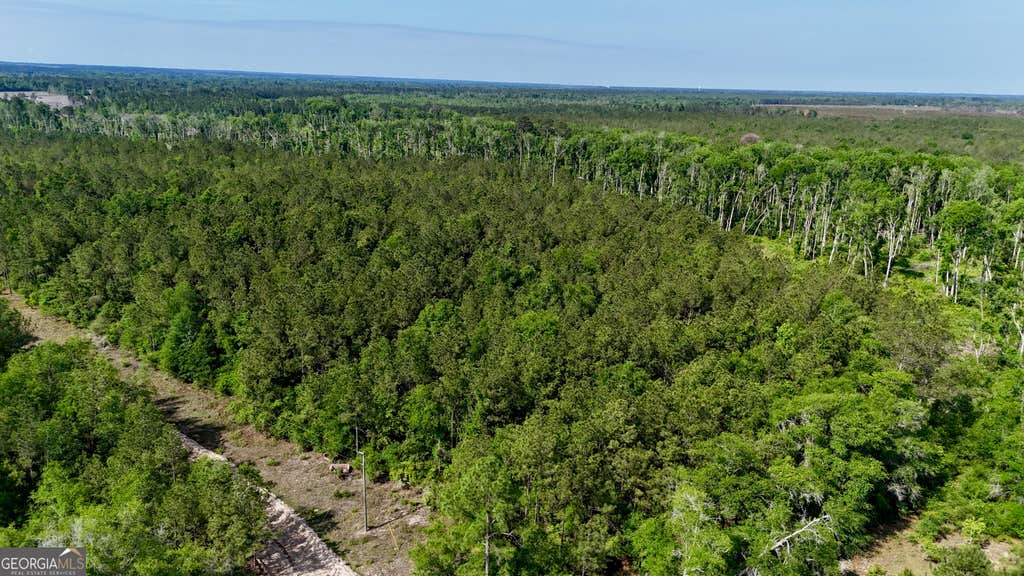 Photo of 1 Tillman Cemetery Road, Lumber City, GA 31549 (MLS # 10825620)