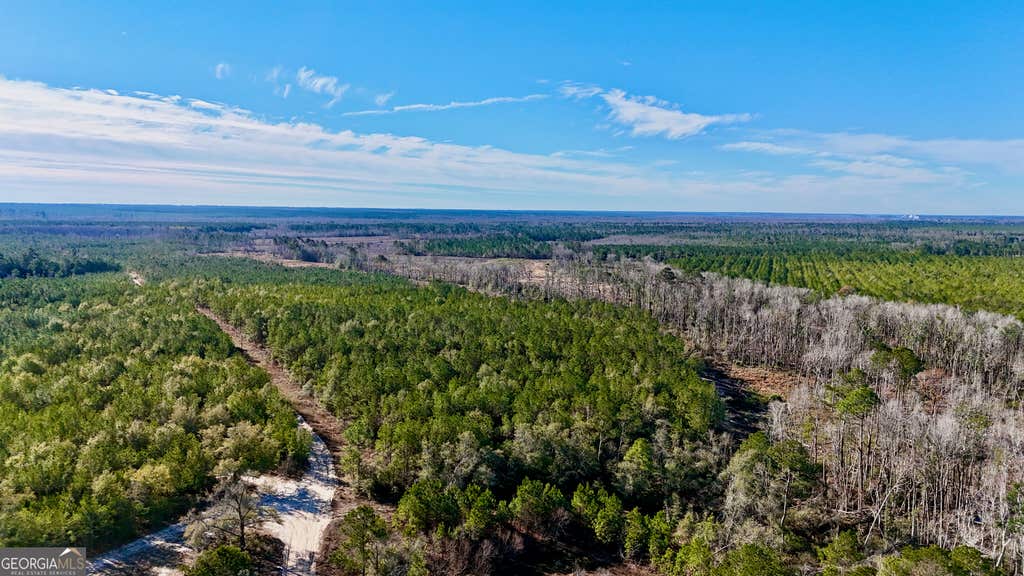 Photo of 1 Tillman Cemetery Road, Lumber City, GA 31549 (MLS # 10825620)