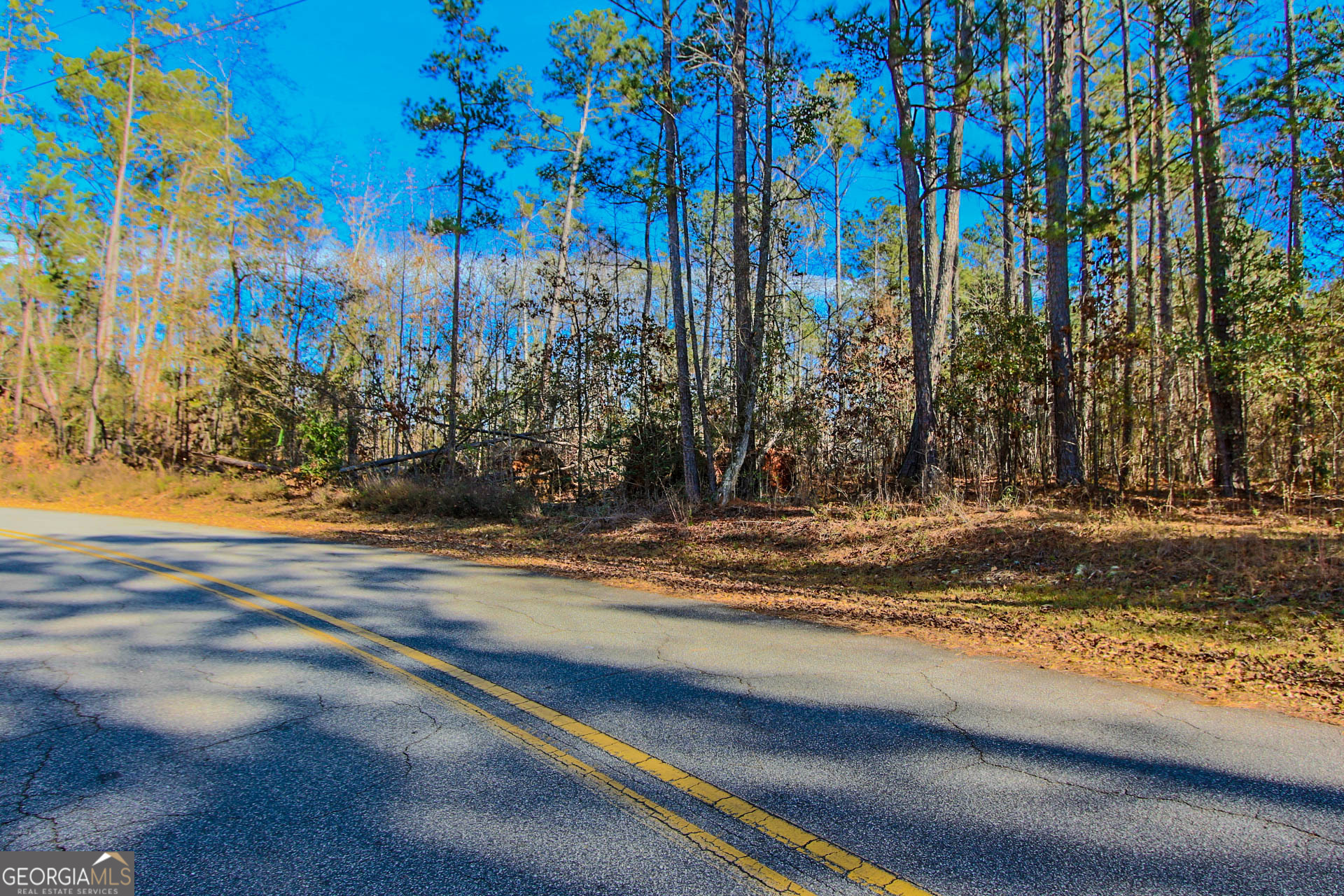 Jackson, Georgia 30233, United States, ,Land,Active,249829