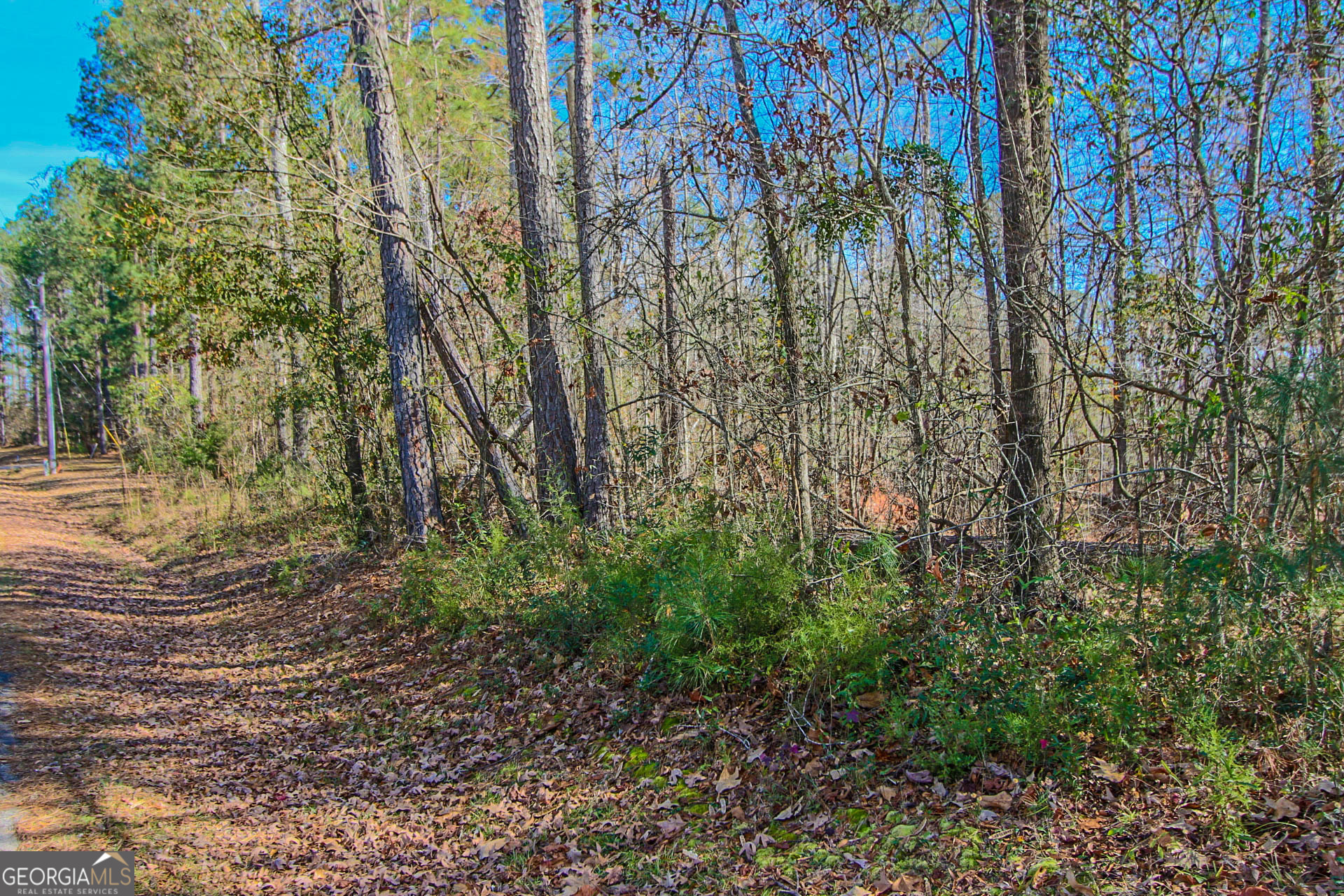 Jackson, Georgia 30233, United States, ,Land,Active,249829