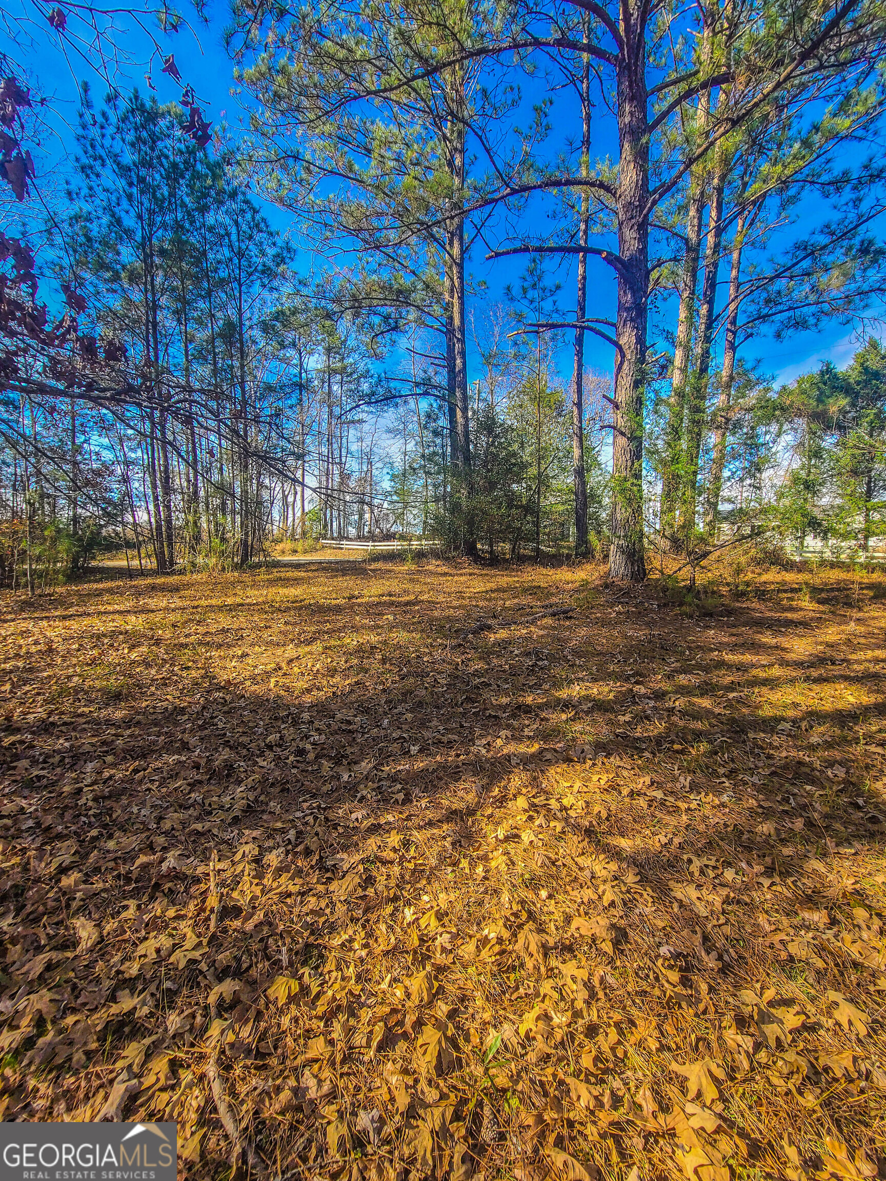 Jackson, Georgia 30233, United States, ,Land,Active,249829