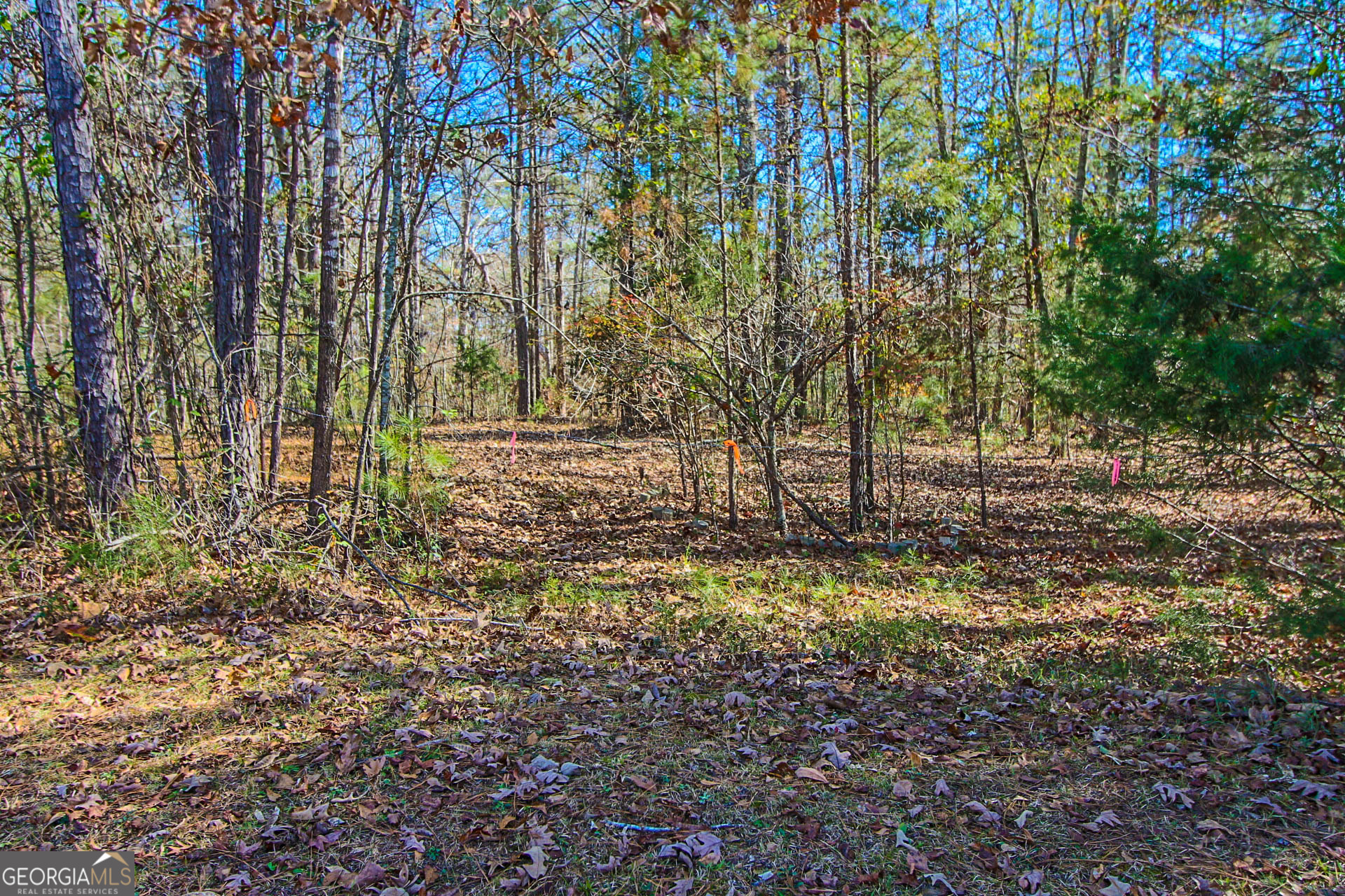 Jackson, Georgia 30233, United States, ,Land,Active,249829