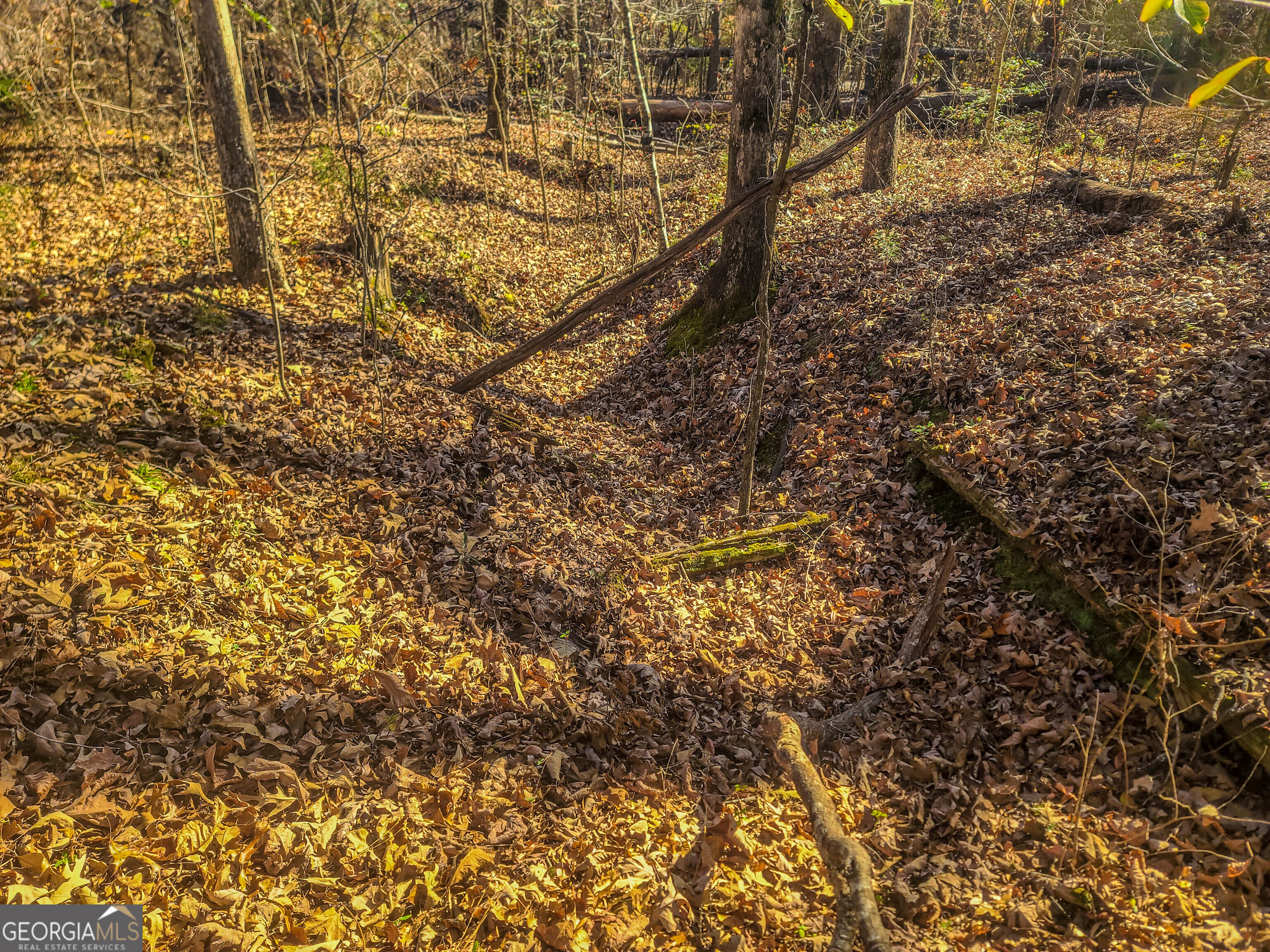 Jackson, Georgia 30233, United States, ,Land,Active,249829