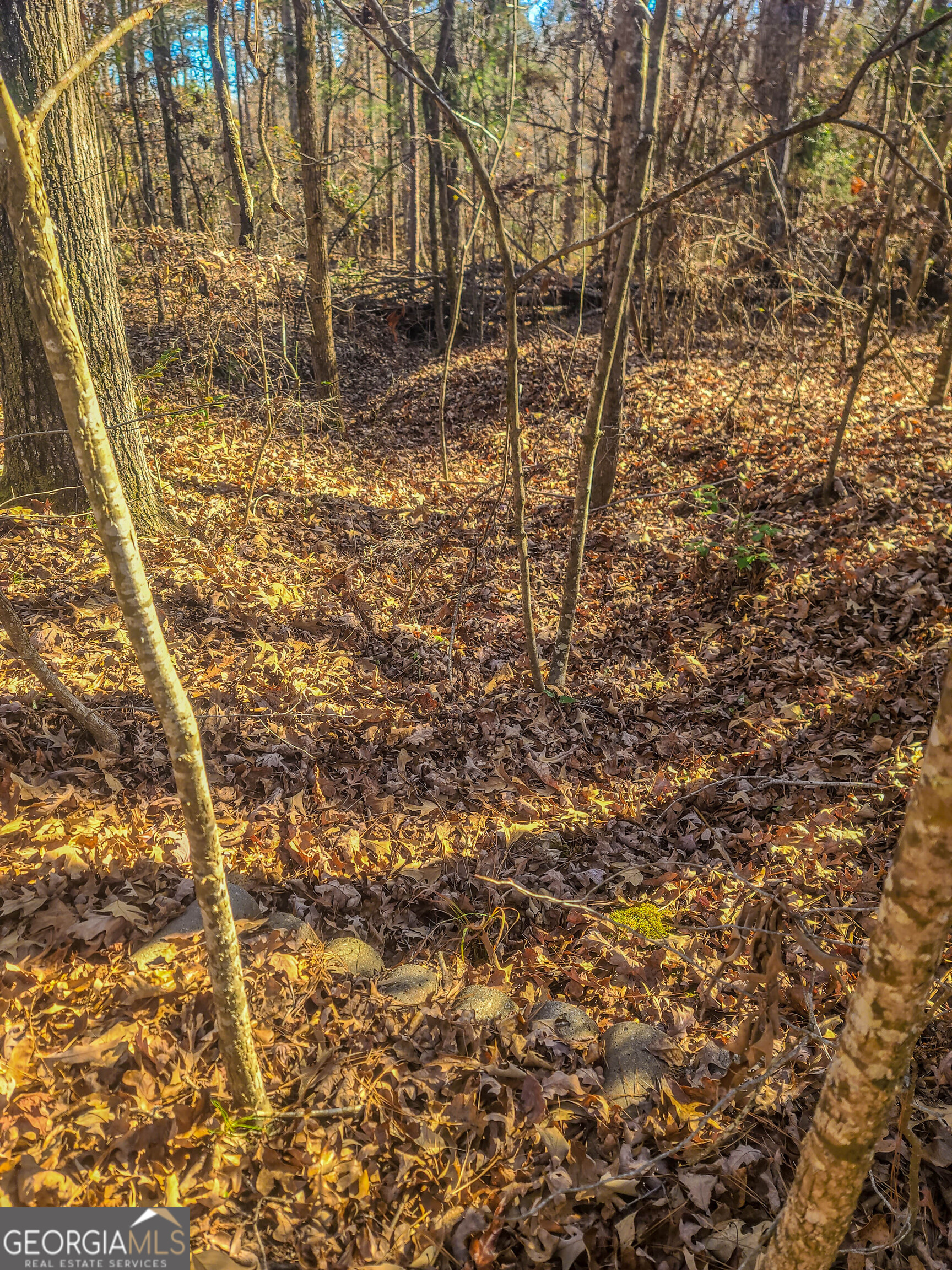 Jackson, Georgia 30233, United States, ,Land,Active,249829