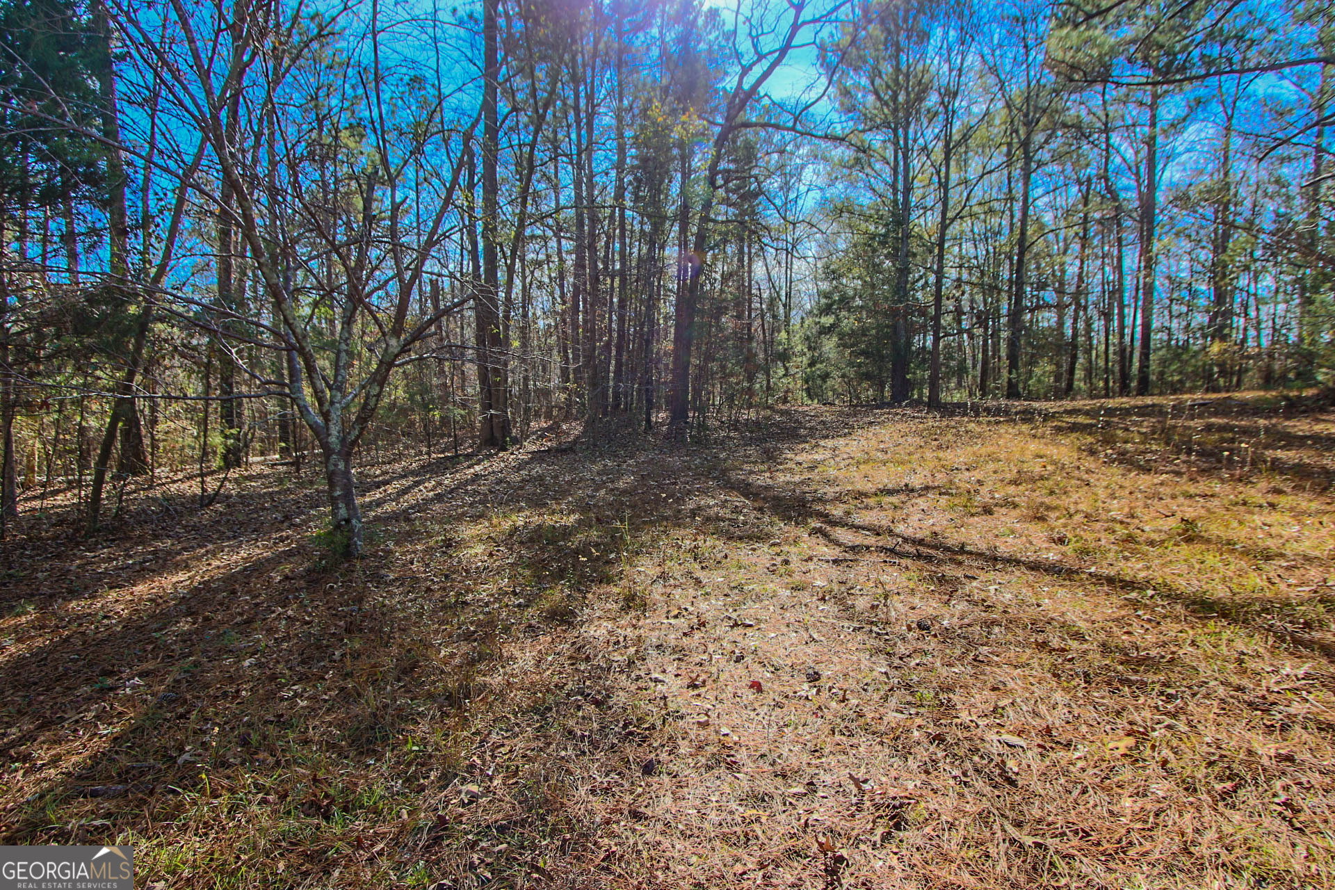 Jackson, Georgia 30233, United States, ,Land,Active,249829