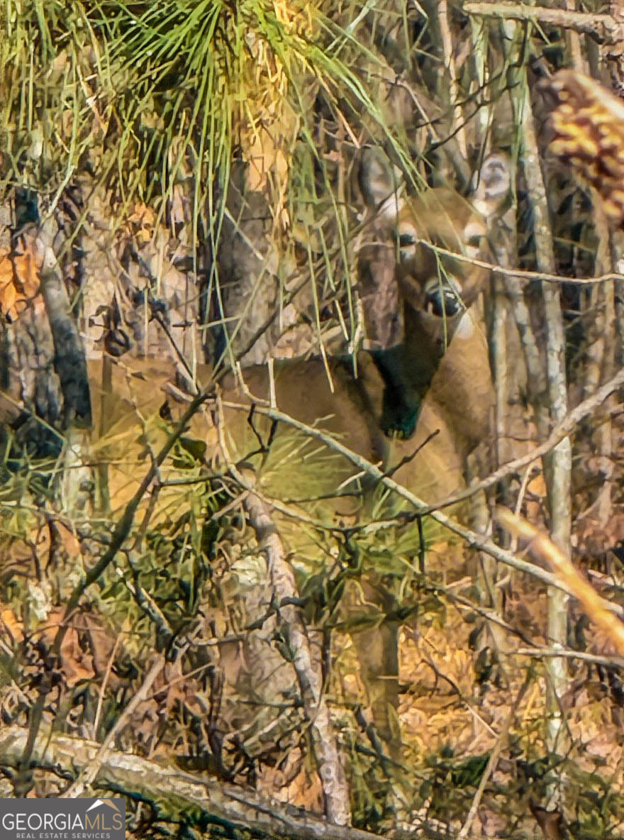 Jackson, Georgia 30233, United States, ,Land,Active,249829