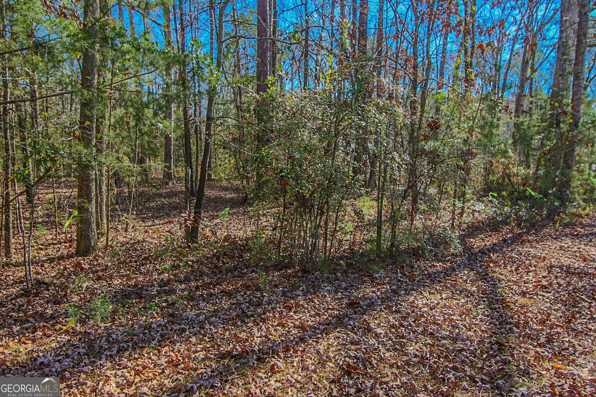 Jackson, Georgia 30233, United States, ,Land,Active,249829