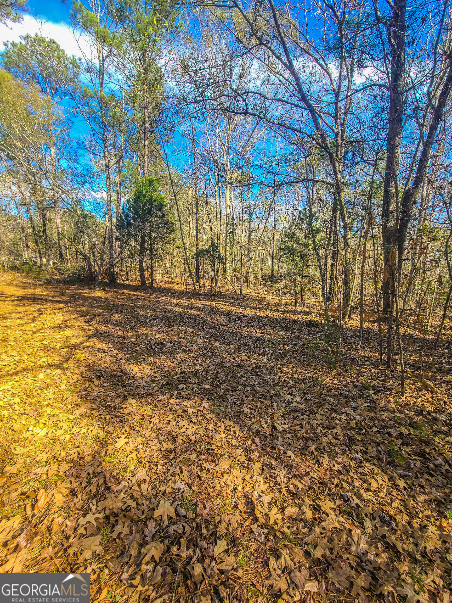 Jackson, Georgia 30233, United States, ,Land,Active,249829