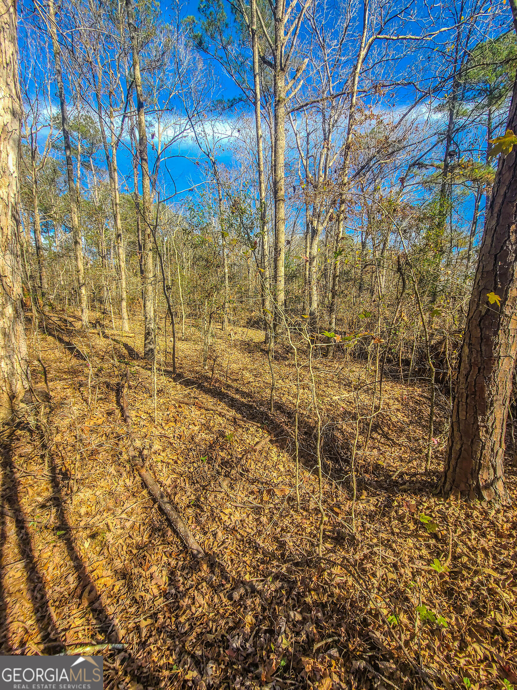 Jackson, Georgia 30233, United States, ,Land,Active,249829