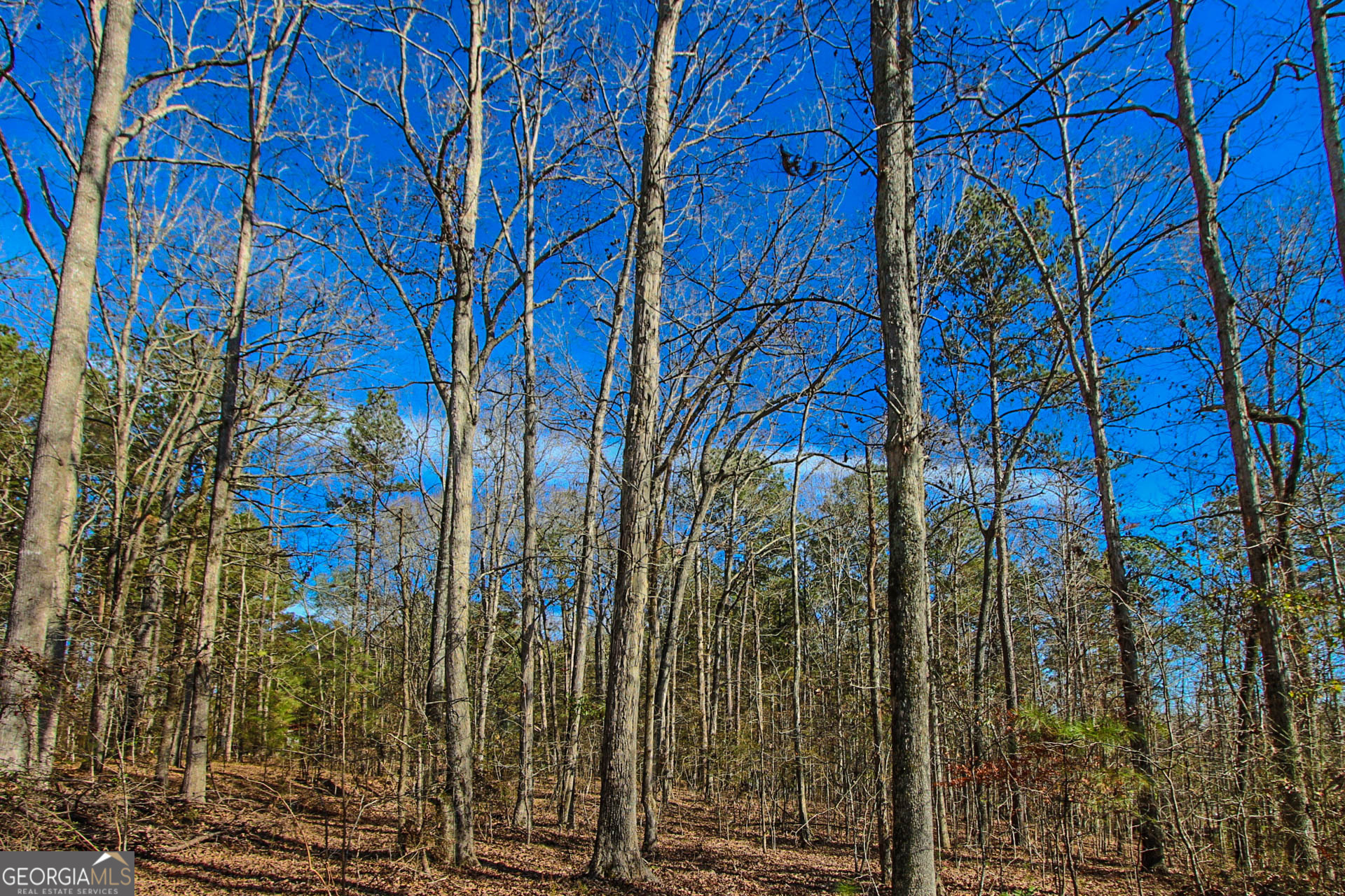 Jackson, Georgia 30233, United States, ,Land,Active,249829