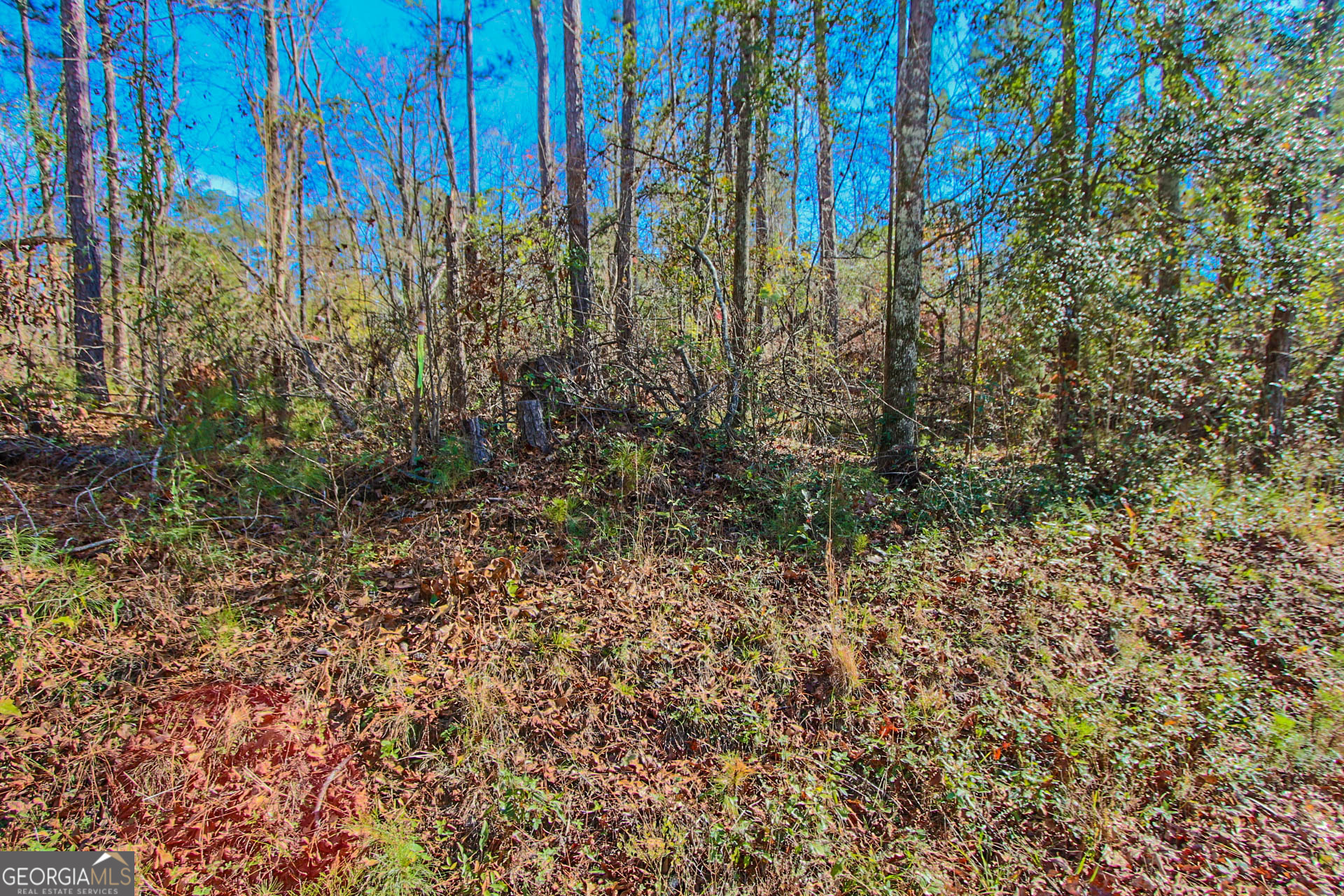 Jackson, Georgia 30233, United States, ,Land,Active,249829