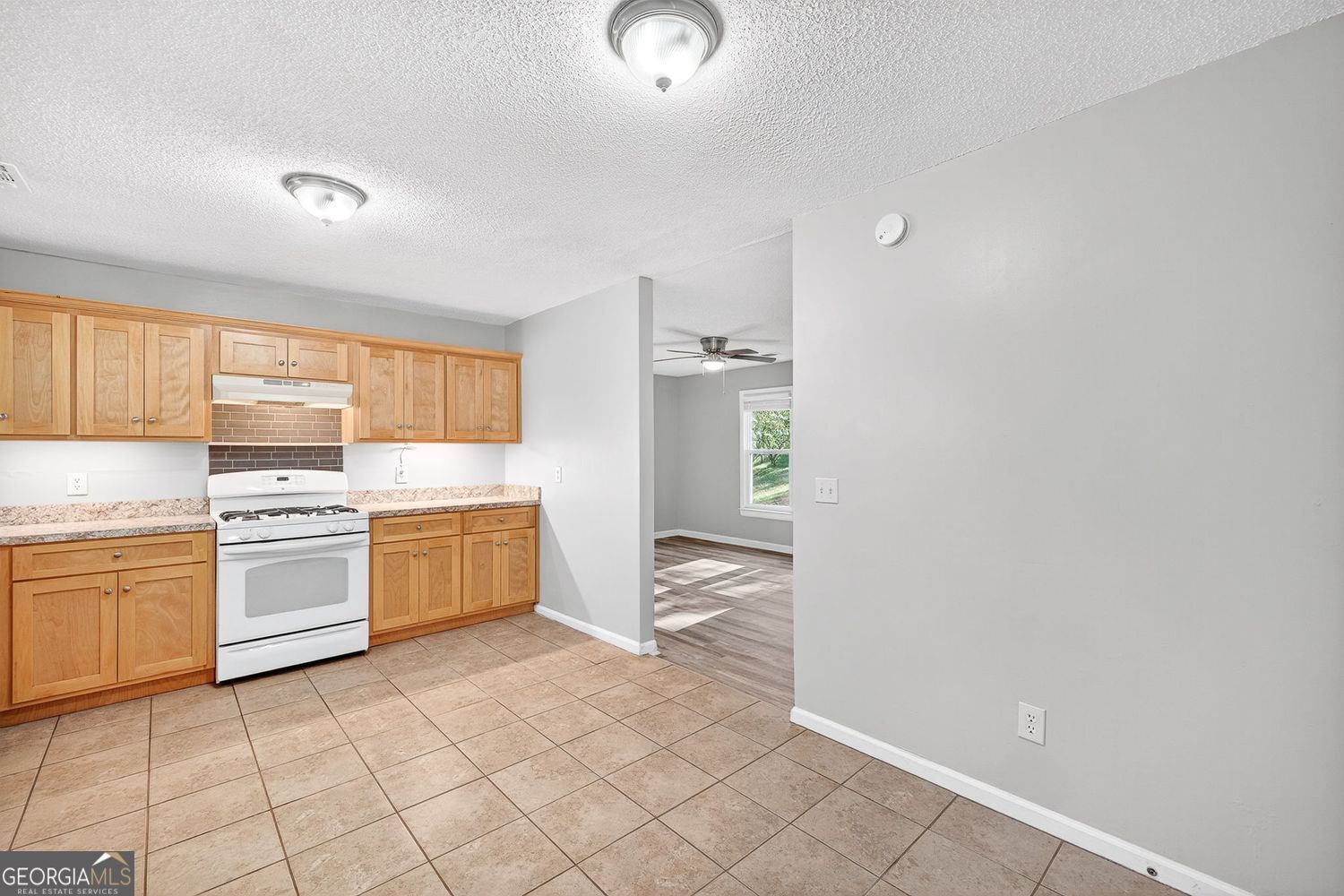 Ball Ground, Georgia 30107, United States, 3 Bedrooms Bedrooms, ,2 BathroomsBathrooms,Residential,Active,232587