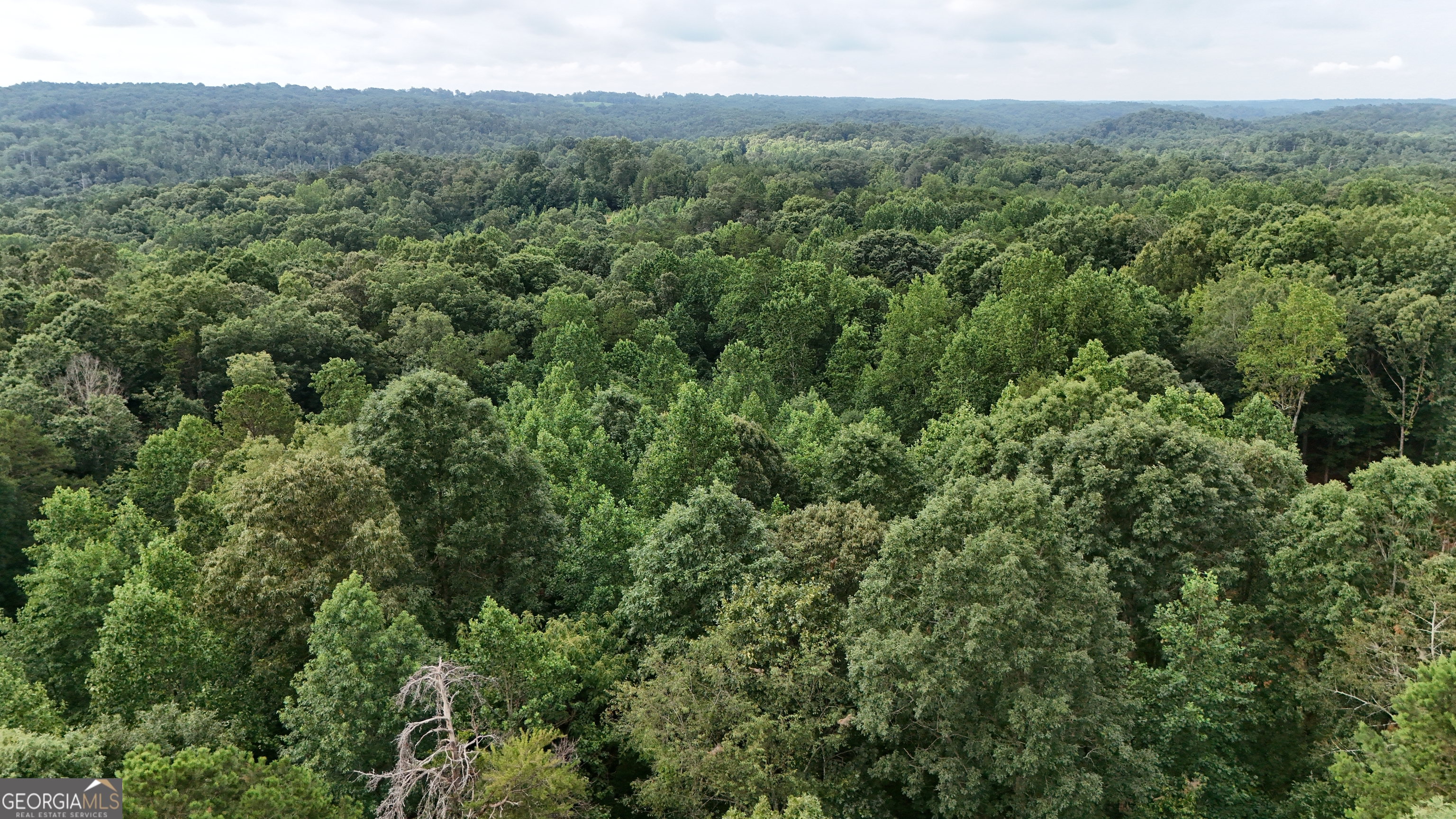 LOT 5 Fowler Creek DR