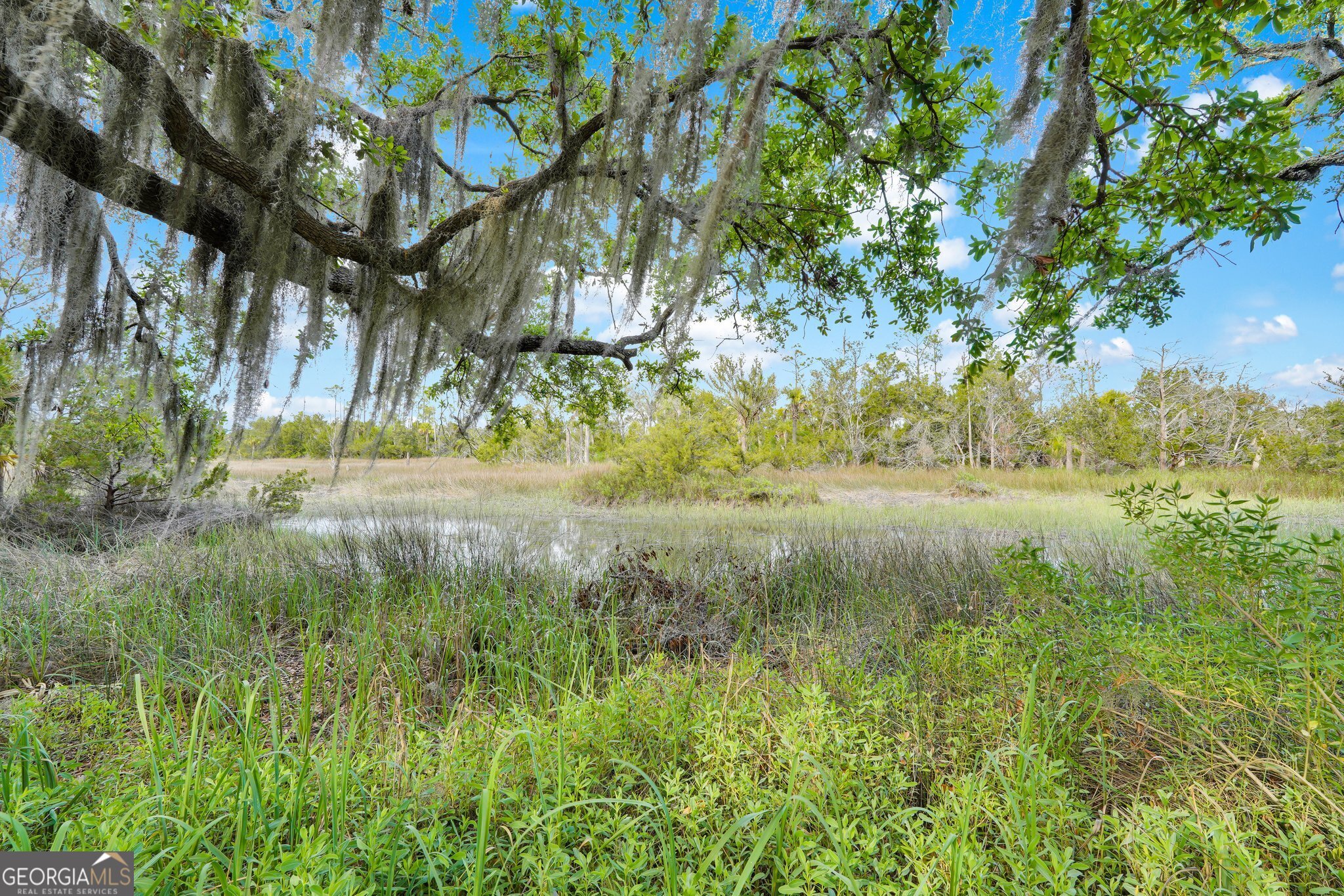45 Herons Nest