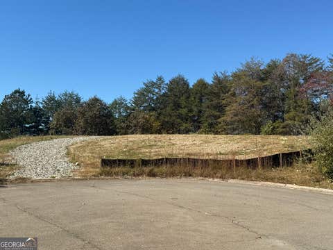 Photo of 11 Lindsey Lane, BLUE RIDGE, GA 30513 (MLS # 10826837)