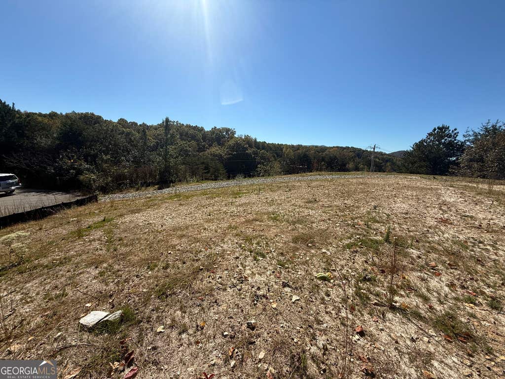 Photo of 11 Lindsey Lane, BLUE RIDGE, GA 30513 (MLS # 10826837)