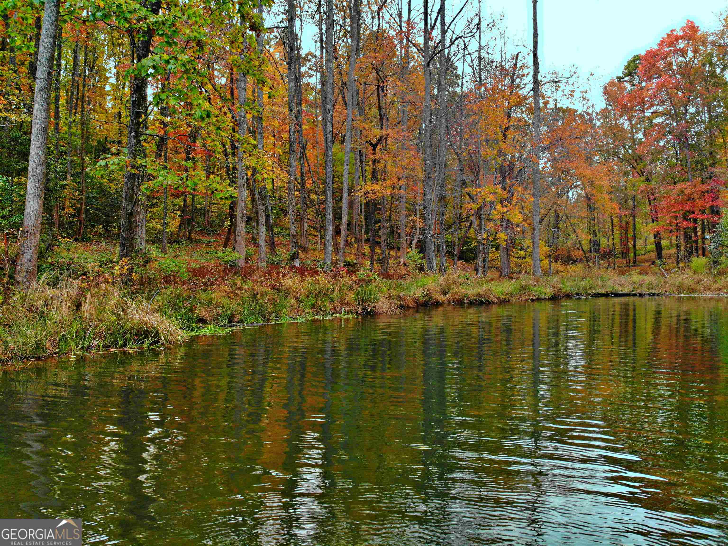 LOT 157 N Laceola RD 157