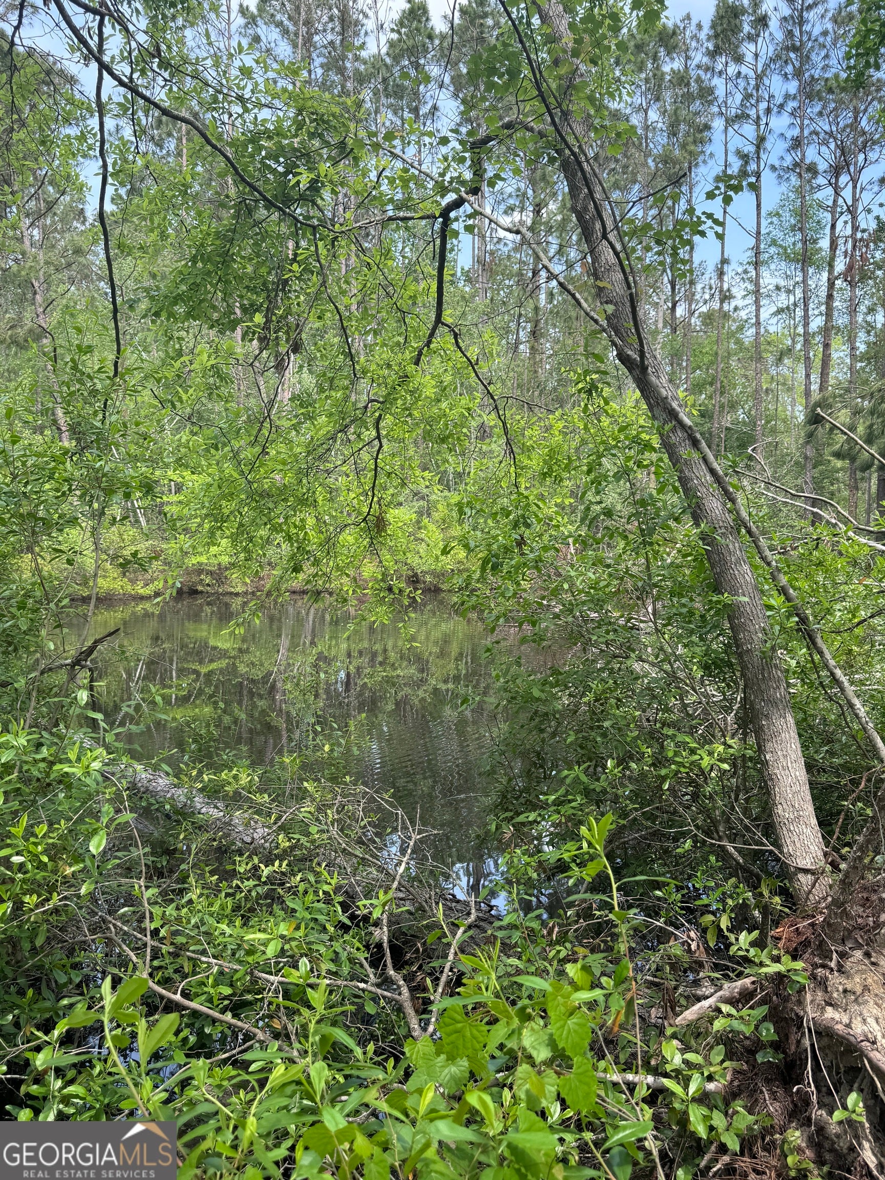0 Walter Phillips RD