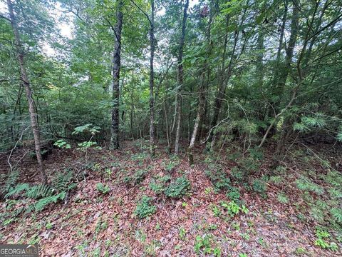 Photo of 793 Woodbine Lane, Ranger, GA 30734 (MLS # 10540985)