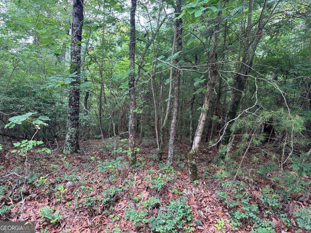 793 Woodbine LN