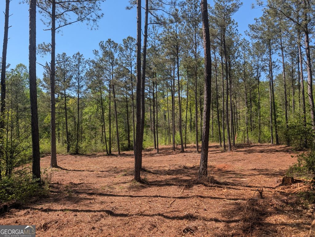 Photo of 6 Mangum Lane, Pendergrass, GA 30567 (MLS # 10741909)