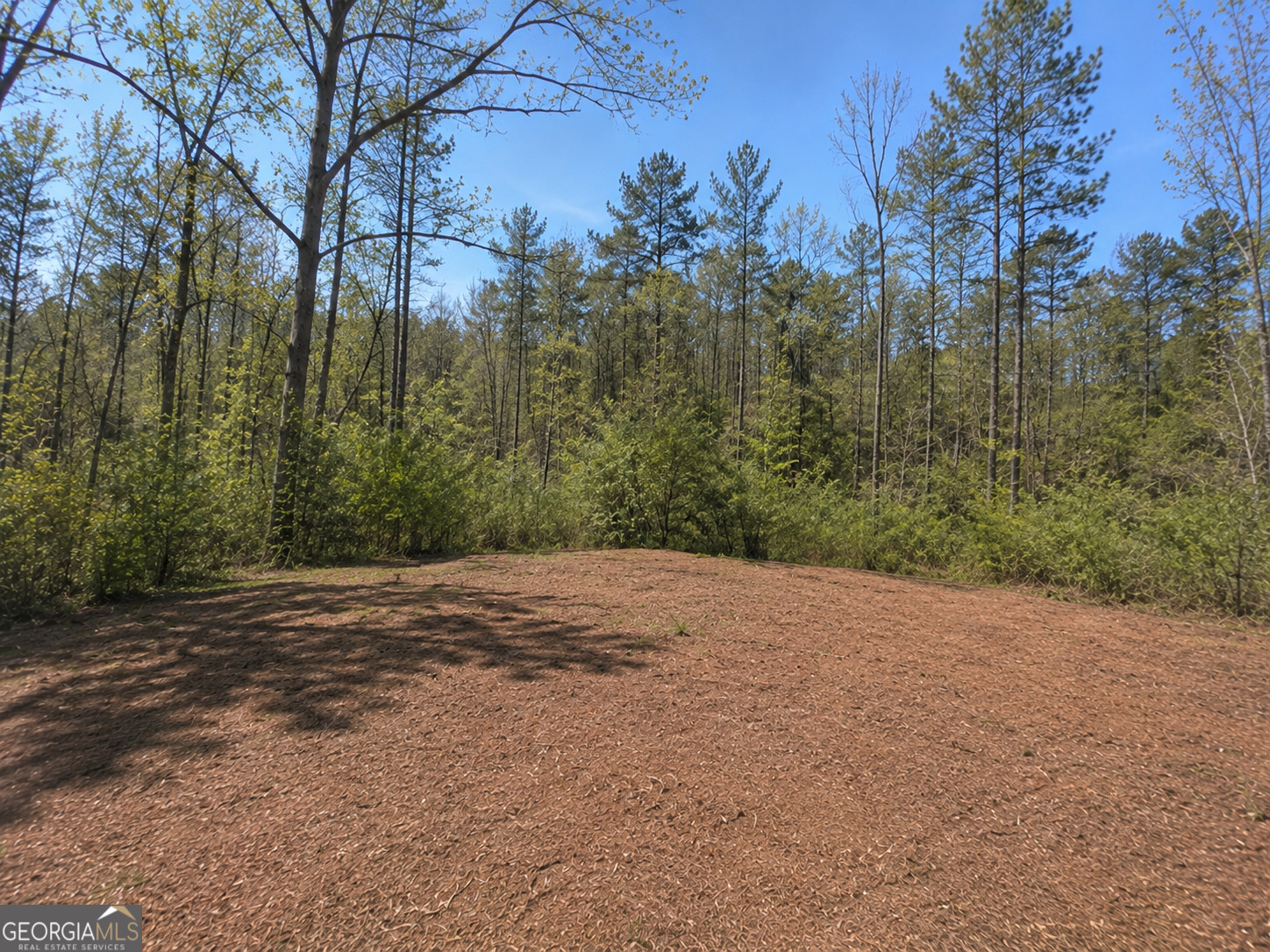 6 Mangum LN