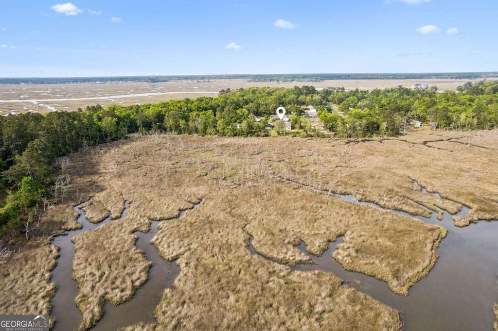 Photo of 195 Windsor Circle, Woodbine, GA 31569 (MLS # 10732057)