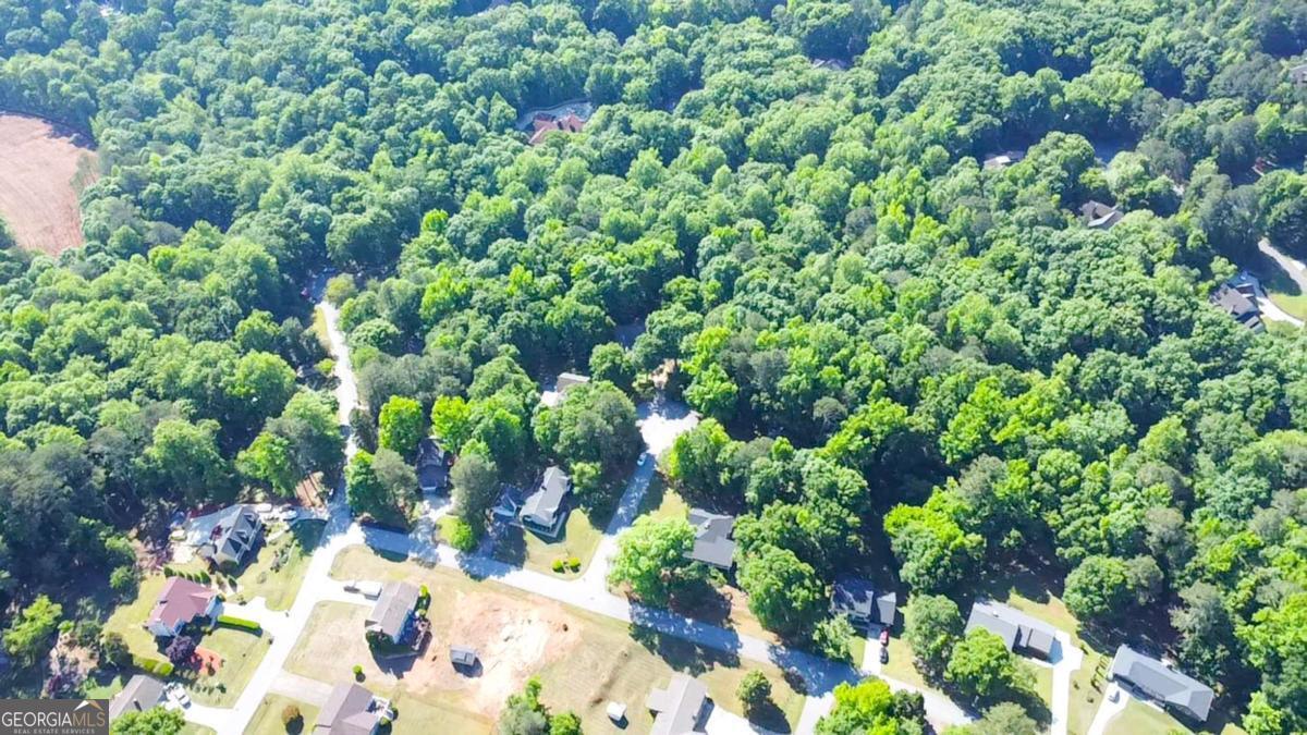 126 McNutts Creek CT
